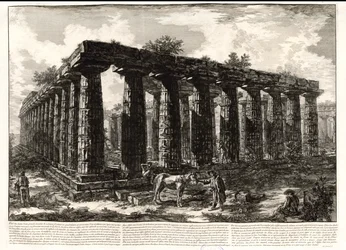 Immagine sconosciuta
